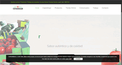 Desktop Screenshot of coprohnijar.com
